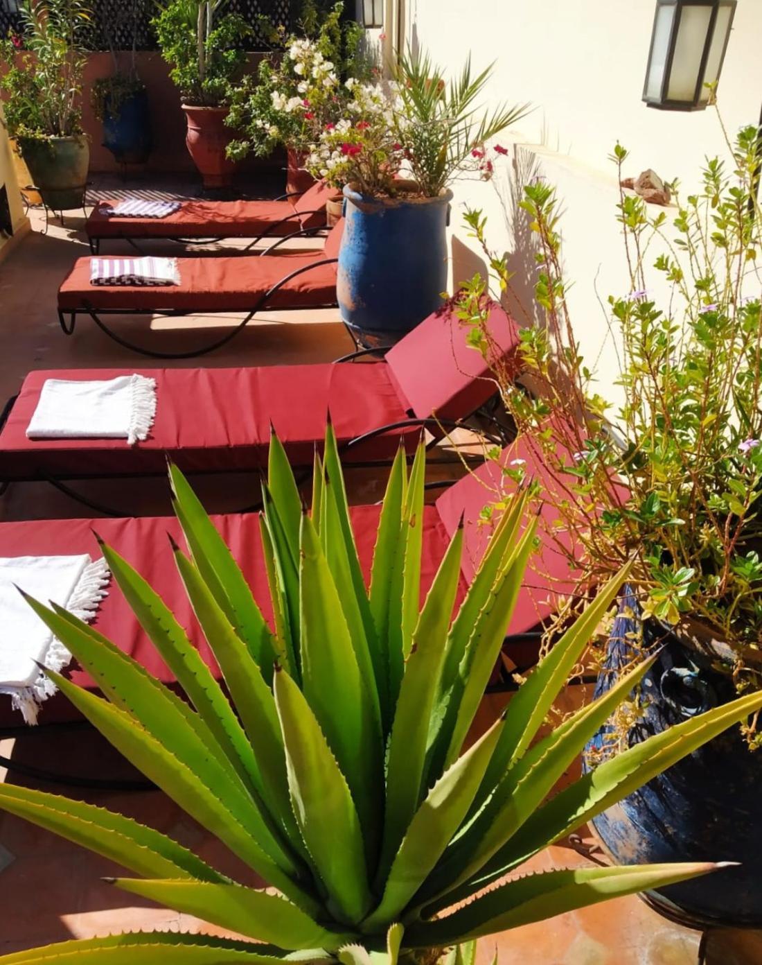 Riad Dar Zampa Marakéš Exteriér fotografie