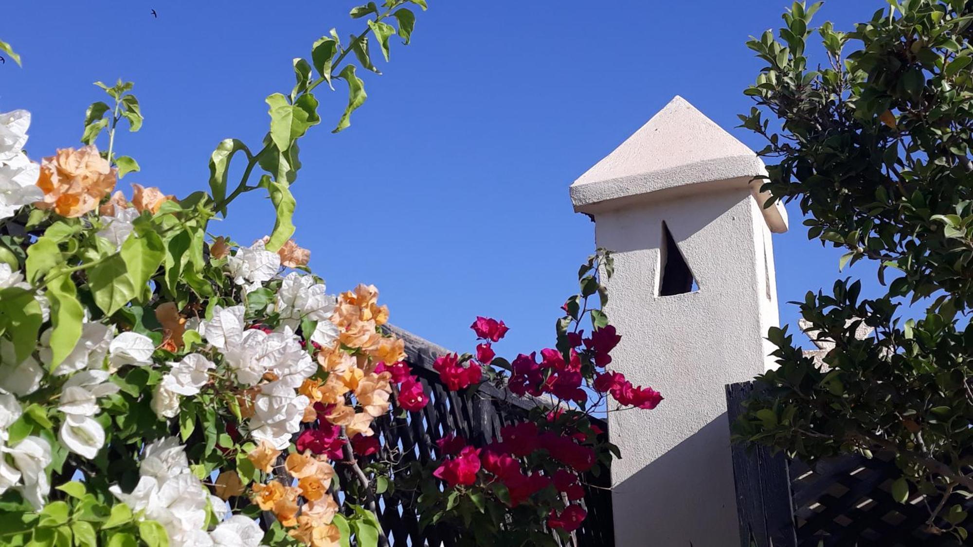 Riad Dar Zampa Marakéš Exteriér fotografie