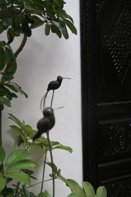 Riad Dar Zampa Marakéš Exteriér fotografie